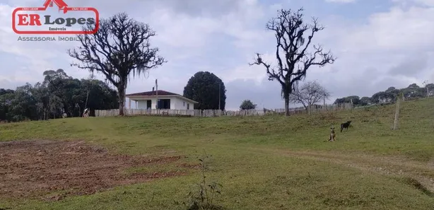 Fazenda / Sítio / Chácara com 2 Quartos à venda, 33445m² no Santa Gema, Colombo