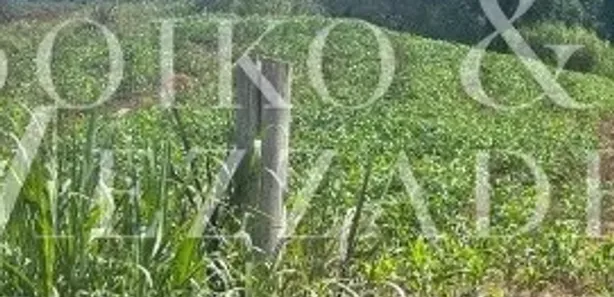 Fazenda / Sítio / Chácara à venda, 30855m² no Área Rural de Araucária, Araucária