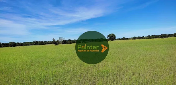 Fazenda / Sítio / Chácara à venda, 13552000m² no , Formoso do Araguaia
