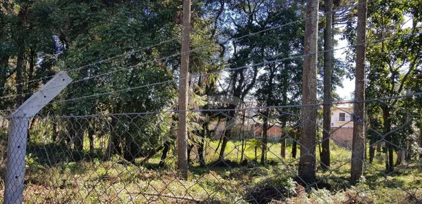 Terreno / Lote / Condomínio à venda, 5856m² no Vila Solene, Campo Largo