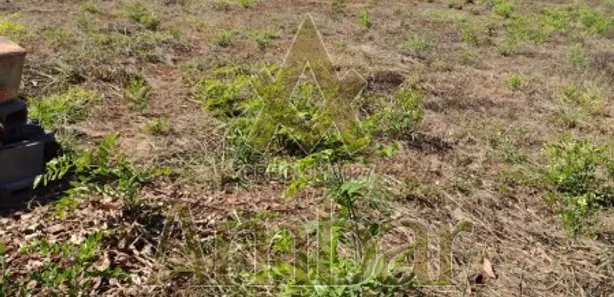 Terreno / Lote / Condomínio para venda ou aluguel, 5000m² no Recreio das Acácias, Ribeirão Preto