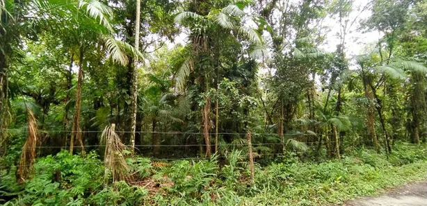 Terreno / Lote / Condomínio à venda, 5000m² no Jardim Ouro Fino, Paranaguá