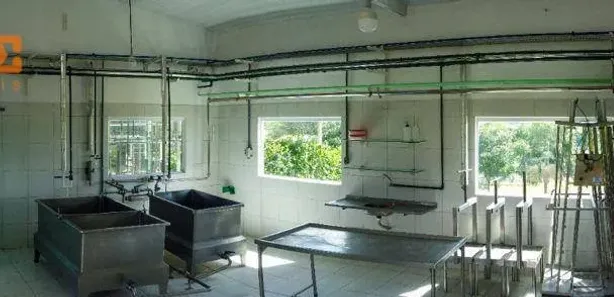 Fazenda / Sítio / Chácara com 3 Quartos à venda, 230000m² no Passira, Passira