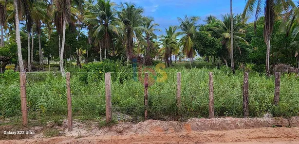 Terreno / Lote / Condomínio à venda, 8500m² no Canavieiras, Canavieiras