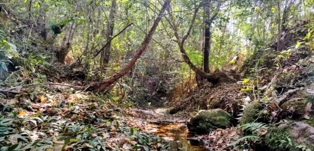 Fazenda / Sítio / Chácara à venda, 20000m² no Setor de Habitações Individuais Sul, Brasília