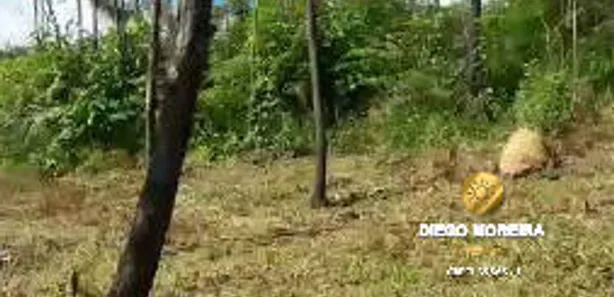 Terreno / Lote / Condomínio à venda, 602m² no Pedra Vermelha (Terra Preta), Mairiporã