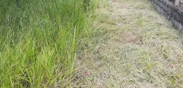 Terreno / Lote / Condomínio à venda, 2800m² no Saboó, São Roque
