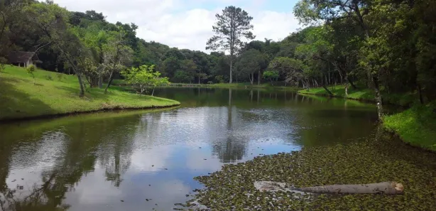 Fazenda / Sítio / Chácara à venda, 48800m² no Rondinha, Campo Largo