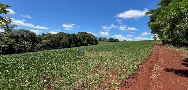 Fazenda / Sítio / Chácara com 6 Quartos à venda, 4m² no Parque Industrial José Garcia Gimenes, Cambé