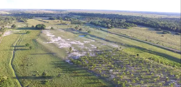 Terreno / Lote / Condomínio à venda, 150000m² no , Prado