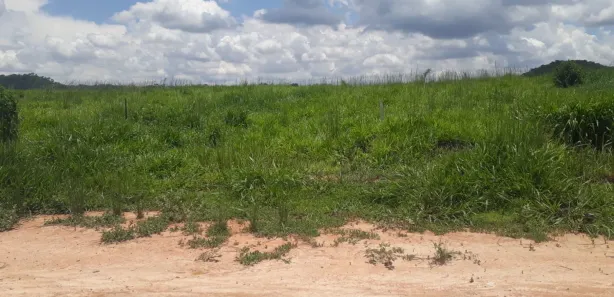 Terreno / Lote / Condomínio à venda, 1000m² no Distrito Industrial B, São José da Lapa