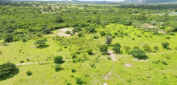 Fazenda / Sítio / Chácara com 9 Quartos à venda, 152000m² no Área Rural de Gravatá, Gravatá