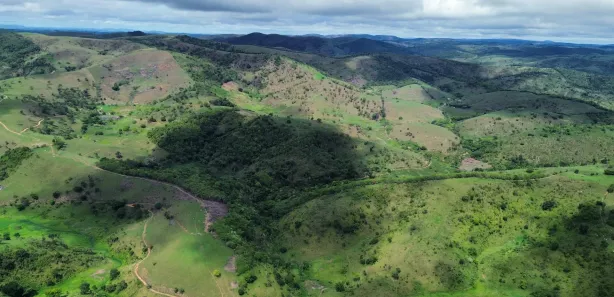 Fazenda / Sítio / Chácara à venda, 10000m² no , Canhotinho