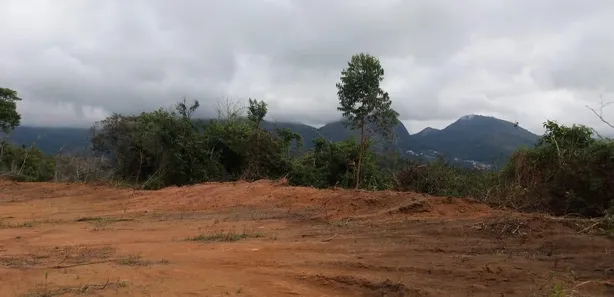 Fazenda / Sítio / Chácara com 3 Quartos à venda, 450m² no Parque Dom João VI, Nova Friburgo