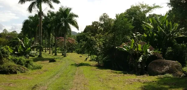 Fazenda / Sítio / Chácara com 1 Quarto à venda, 120000m² no , Antonina