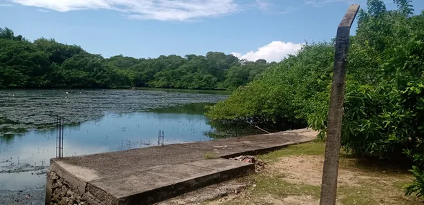 Casa com 4 Quartos para venda ou aluguel, 250m² no Barra de Jangada, Jaboatão dos Guararapes