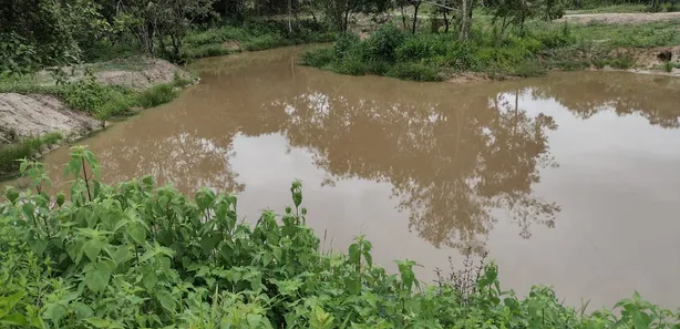 Terreno / Lote / Condomínio à venda, 20000m² no , Fortuna de Minas