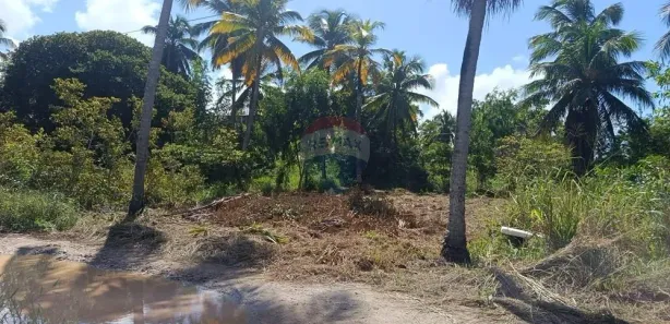 Terreno / Lote / Condomínio à venda, 300m² no , Maragogi