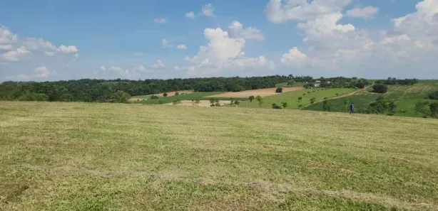 Terreno / Lote / Condomínio à venda, 2497m² no Tupinambá, Porto Feliz