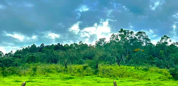 Fazenda / Sítio / Chácara à venda, 1000m² no Saboó, São Roque