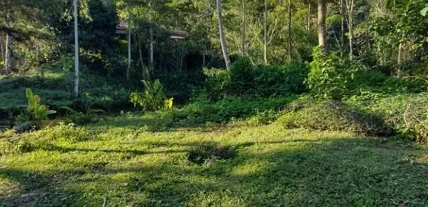 Fazenda / Sítio / Chácara com 27 Quartos à venda, 274000m² no Corujas, Guapimirim