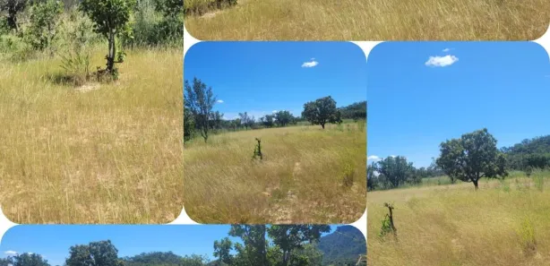 Fazenda / Sítio / Chácara à venda, 7260000m² no , Ponte Alta do Bom Jesus