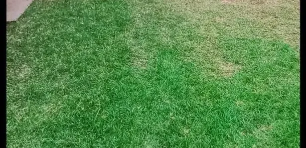 Terreno / Lote / Condomínio à venda, 288m² no Itacolomi, Balneário Piçarras