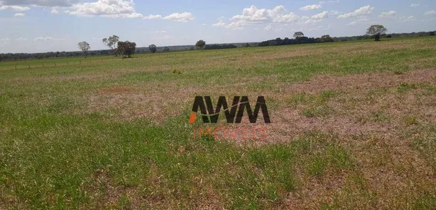 Fazenda / Sítio / Chácara à venda, 52270000m² no Javaés, Lagoa da Confusão