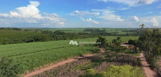 Fazenda / Sítio / Chácara com 3 Quartos à venda, 500m² no Monte Azul Paulista, Monte Azul Paulista