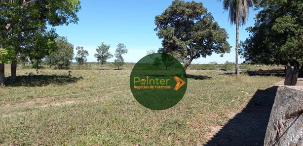 Fazenda / Sítio / Chácara à venda, 7647200m² no , Cristalândia