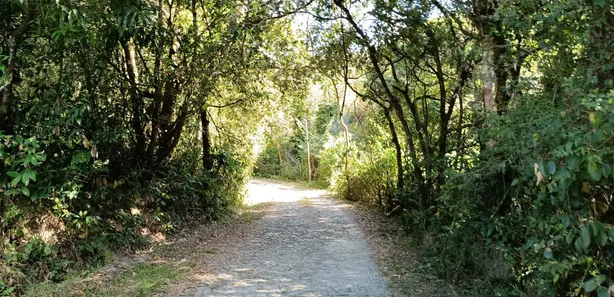 Fazenda / Sítio / Chácara com 4 Quartos à venda, 20000m² no Bom Destino, Santa Luzia