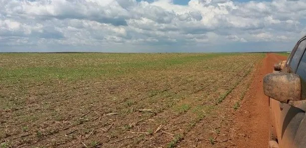 Fazenda / Sítio / Chácara à venda, 45300m² no , Divinópolis do Tocantins