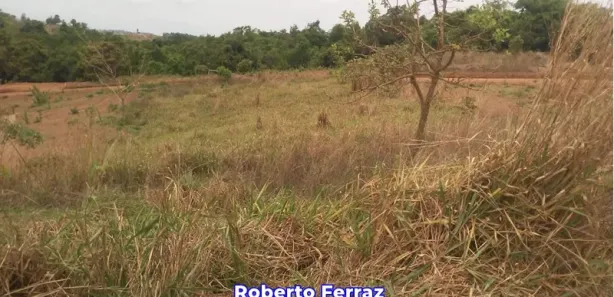 Terreno / Lote / Condomínio à venda, 20000m² no Setor Habitacional Vicente Pires - Trecho 3, Brasília