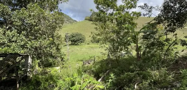 Fazenda / Sítio / Chácara à venda, 31000m² no , Joaquim Gomes