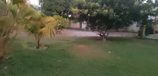 Fazenda / Sítio / Chácara com 10 Quartos à venda, 2400m² no , Marechal Deodoro
