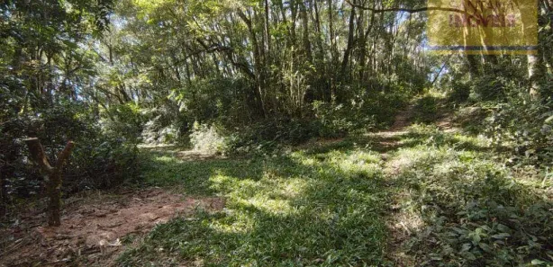 Terreno / Lote / Condomínio à venda, 240000m² no Itaqui de Cima, Campo Largo