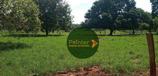 Fazenda / Sítio / Chácara à venda, 2041875m² no , Pium