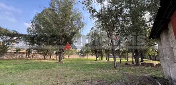 Galpão / Depósito / Armazém para alugar, 10000m² no Loteamento Industrial Nossa Senhora de Fátima, Americana