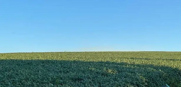 Fazenda / Sítio / Chácara com 3 Quartos à venda, 30250m² no , Guaraniaçu