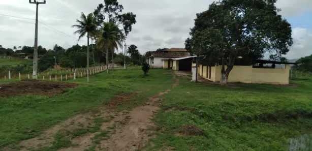 Fazenda / Sítio / Chácara com 4 Quartos à venda, 150000m² no Matriz, Vitória de Santo Antão