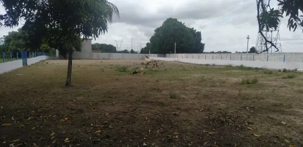 Terreno / Lote / Condomínio à venda, 465m² no Aldeia dos Camarás, Camaragibe