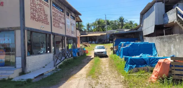 Loja / Salão / Ponto Comercial para alugar, 1000m² no Arembepe (Abrantes), Camaçari