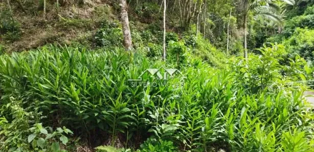 Terreno / Lote / Condomínio à venda, 503m² no Quitandinha, Petrópolis
