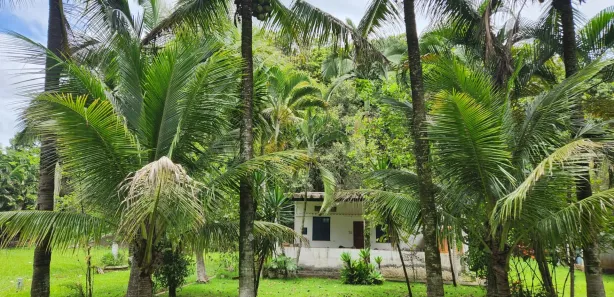 Fazenda / Sítio / Chácara com 2 Quartos à venda, 10000m² no São Judas Tadeu, Barra Mansa
