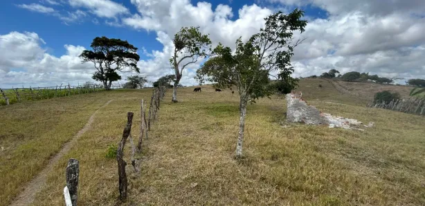 Fazenda / Sítio / Chácara à venda, 230000m² no , Sairé