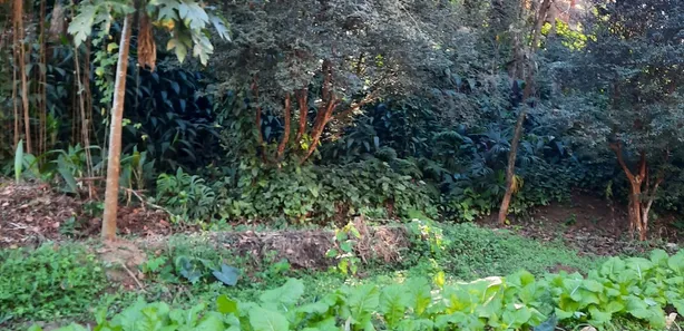 Fazenda / Sítio / Chácara com 2 Quartos à venda, 3050m² no Califórnia da Barra, Barra do Piraí