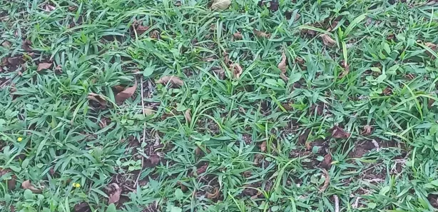 Fazenda / Sítio / Chácara com 3 Quartos à venda, 400m² no porta do sol, Mairinque