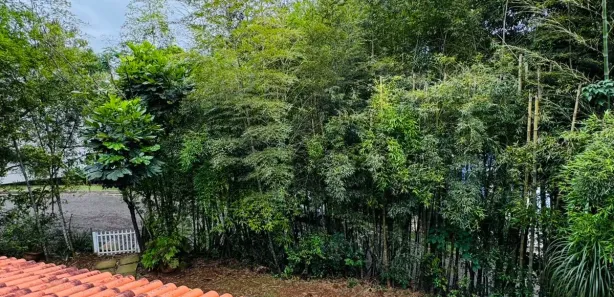 Casa de Condomínio com 3 Quartos para venda ou aluguel, 300m² no Chácara do Refúgio, Carapicuíba
