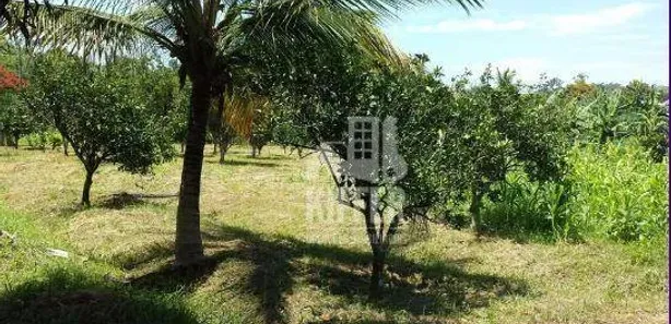 Fazenda / Sítio / Chácara com 5 Quartos à venda, 273m² no Manoel Ribeiro (Ponta Negra), Maricá