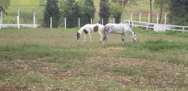 Fazenda / Sítio / Chácara com 5 Quartos para venda ou aluguel, 250m² no Campo Largo, Salto de Pirapora